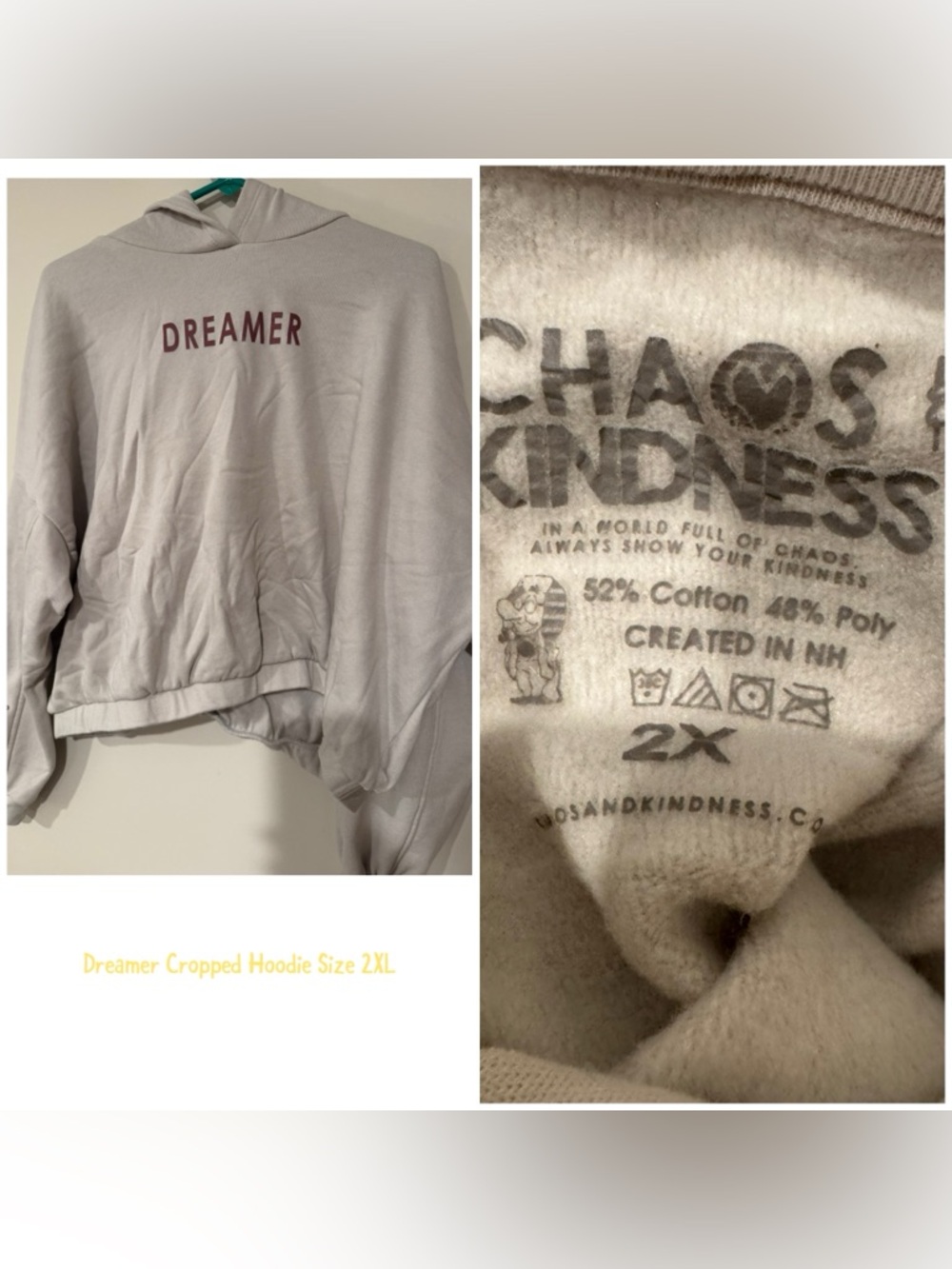 "Dreamer" Cropped Hoodie in Light Gray - 2X